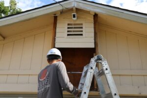 Dry Rot Repair