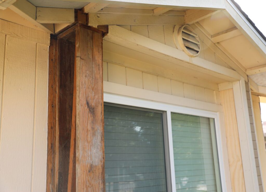 Dry Rot Repair