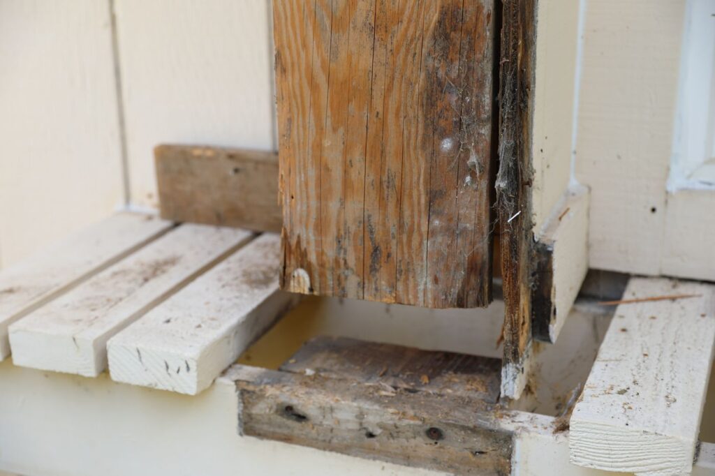 Dry Rot Repair