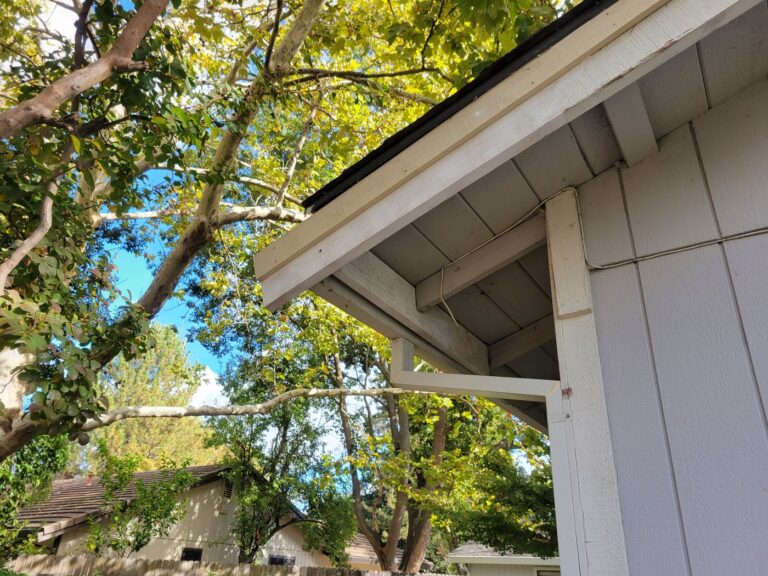 Pest Repairs After