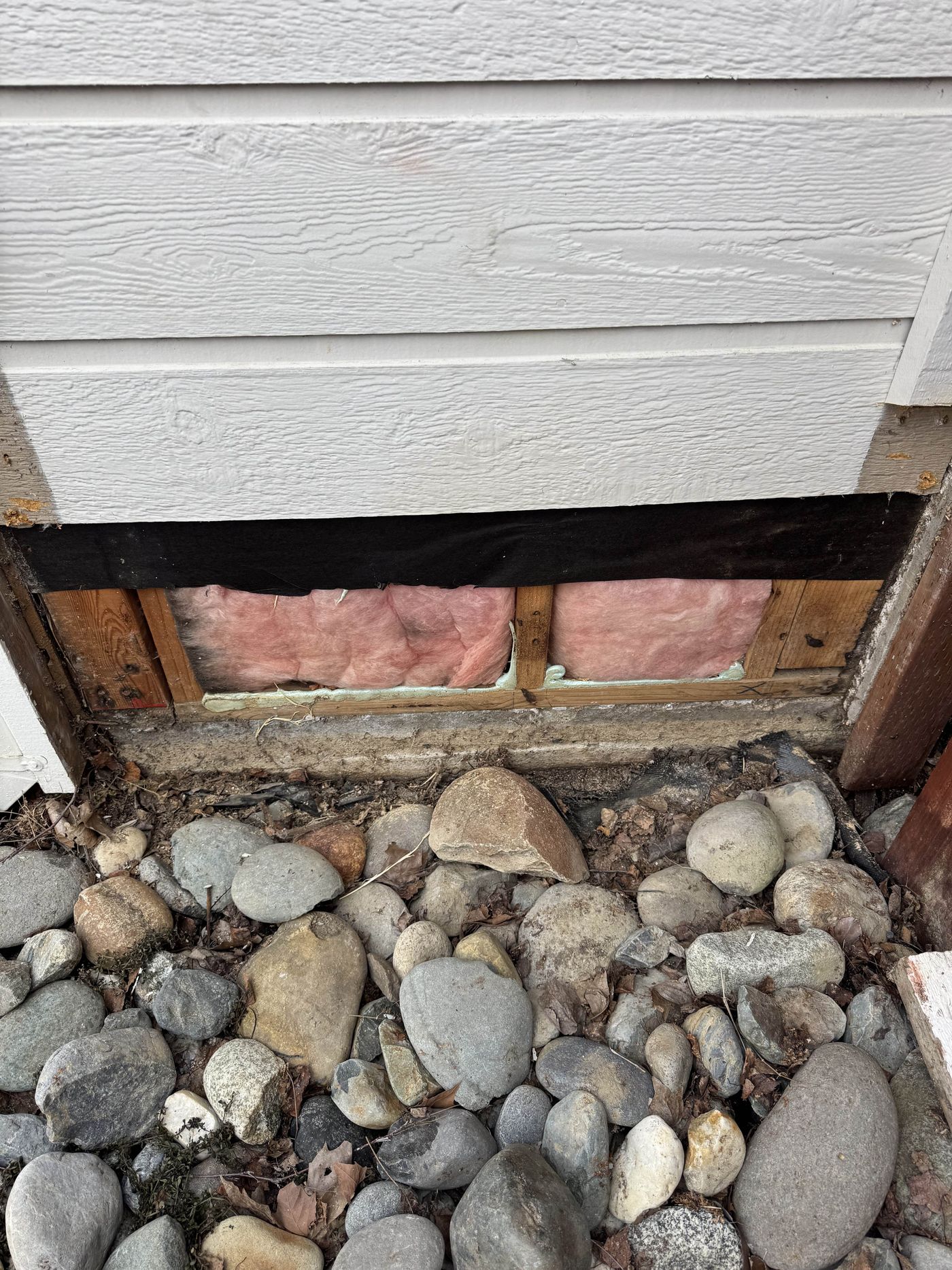 Dry Rot Repair Before