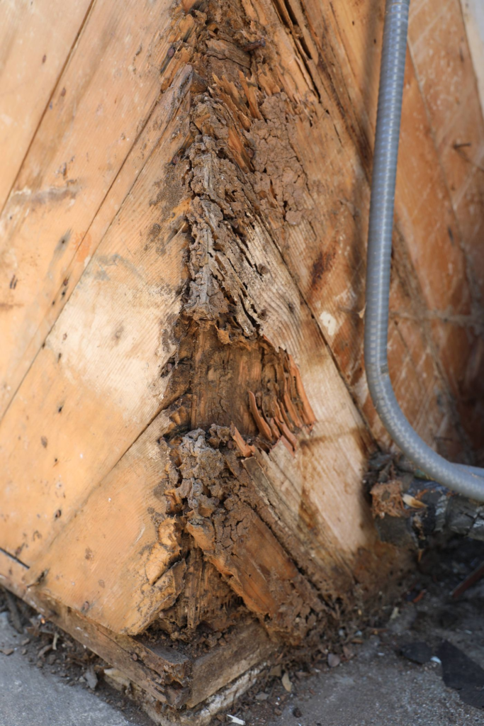 Close-up of a wooden corner structure with severe decay, showing crumbling and discolored wood fibers where moisture damage has deteriorated the surface