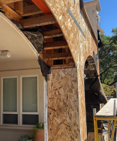 Dry Rot Repair After