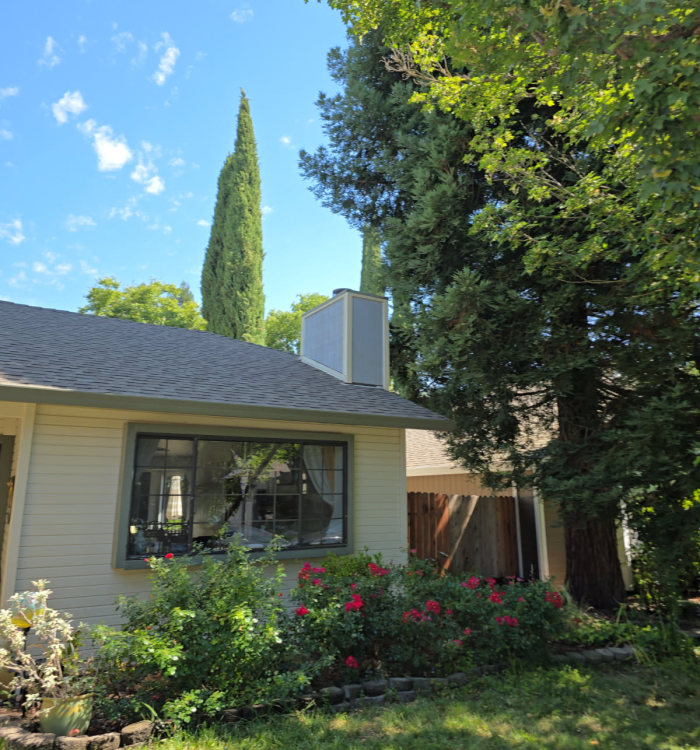 Project: Damaged Framing Sacramento