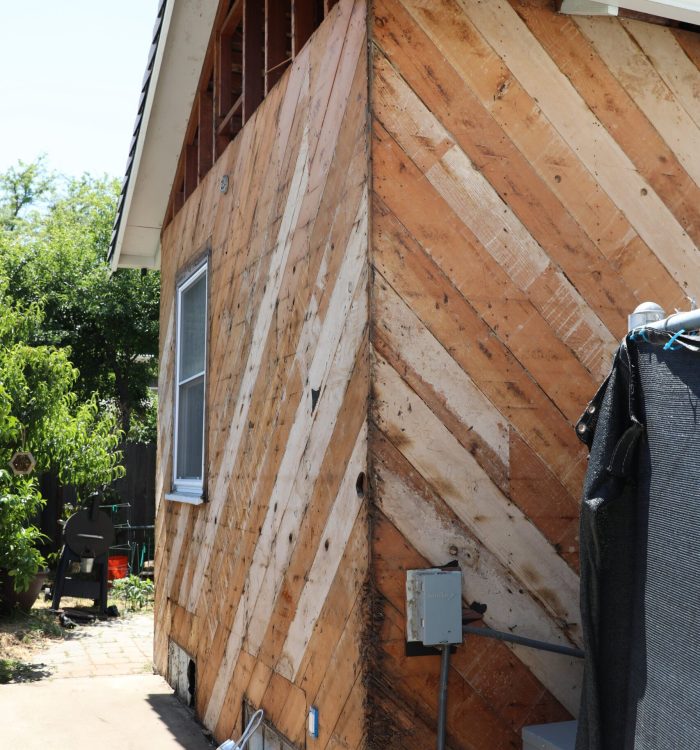 What Is Dry Rot and Why It Matters for Your Home