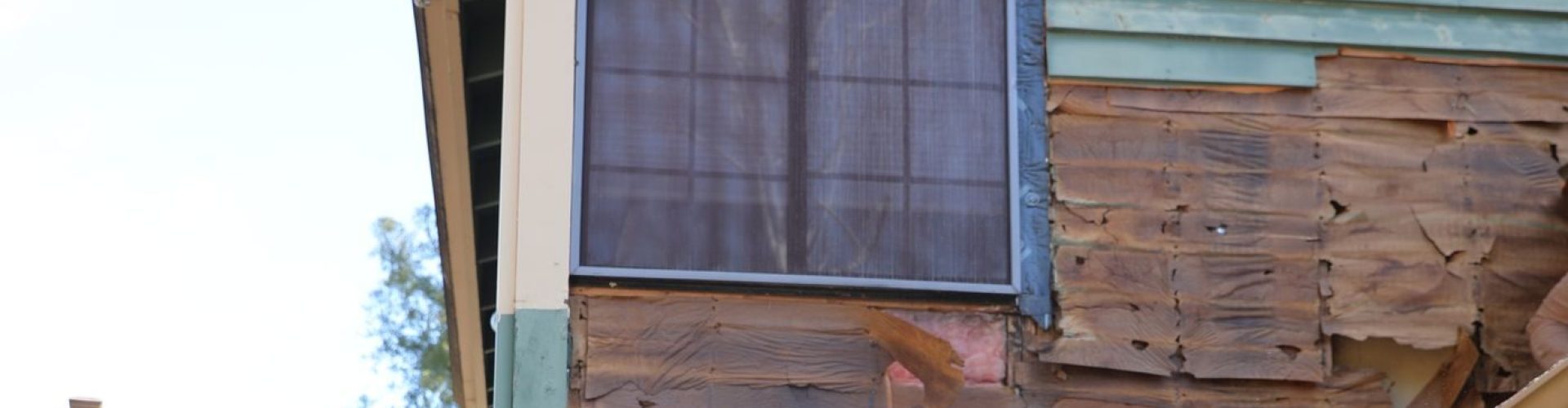 Dry Rot Repair