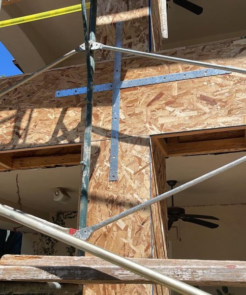 Dry Rot Repair After