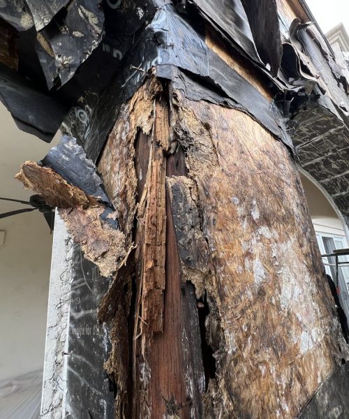 Wood Damage